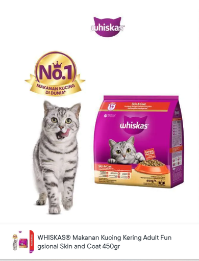 Makanan Kucing